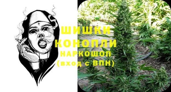 трава Беломорск