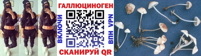 Псилоцибиновые грибы Psilocybine cubensis  кракен сайт  Кондрово  наркотики 